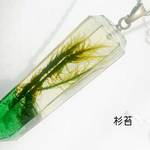 杉苔in水晶　標本ペンダント