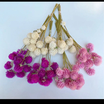 千日紅ドライフラワー☆茎付き☆ドライフラワー花材