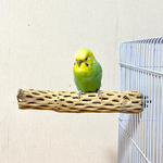 鳥 とまり木 カクタスパーチ（サボテンのとまり木）文鳥・セキセイインコ・アキクサインコ・ボタンインコ・小桜インコ 鳥用品