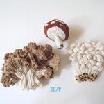 きのこ・ブローチ　ご予約品
