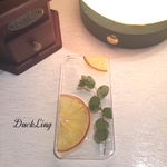 【再販】押しフルーツiPhone5.5s