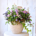 トレニアと八重咲きペチュニアの花束植え