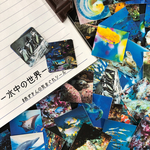－水中の世界－  赤ずきんの気まぐれシール(40枚入り)