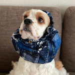 秋新作デニム★ブルー　中型犬用スヌード　犬用スヌード