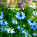 KAZUKO1109様専用ページ