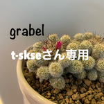 t-skseさん専用ページ