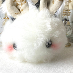 [ゲリラしっぽちゃん