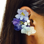 押し花千鳥草とアジサイのイヤーカフandイヤリングorピアス2点セット‼︎