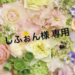 しふぉんさん！専用