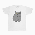 ブリティッシュショートヘア（ホワイト）猫