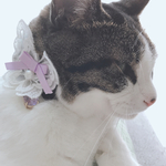 猫ちゃんの首輪〜刺繍レース蝶々パープル〜