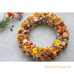 送料無料＊Harvest Orange 40