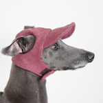 canvas cap vintage wash wine " iggy cap "