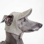 canvas cap vintage wash khaki " iggy cap "