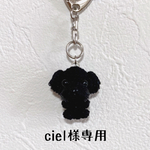 ciel様専用ページ