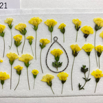 再販☆押し花素材321 ビタミンカラーのゴールドダスト☆