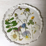 押し花コースター