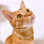 猫の首輪🐈カラフルパールビーズ✨ネックレス首輪♡星チャーム⭐