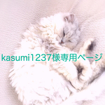 kasumi1237様専用ページ