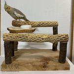 【kuu-ame様専用】カクタスボーンの卓上パーチ【セキセイインコ・オカメインコ・ウロコインコ】サボテンの骨・鳥豆堂