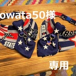 kowata50様　専用　cocoちゃんネクタイチョーカーNEO　2点　星条旗・アメリカン風・星柄