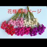 花様専用ページです☆千日紅ドライフラワー