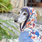 🧸おもちゃ箱🧸トレーナー生地