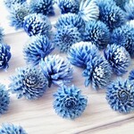 千日紅のドライフラワー＜コバルトブルー　10個＞