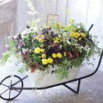 ジジの手押し花車Ｂ　花束植え