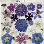 ☆押し花素材325 ブルー&パープルのレアセット☆
