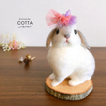 ホーランドロップ　うさぎ　羊毛フェルト　人形