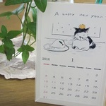 2016　猫イラストカレンダー