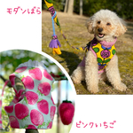 モダン薔薇ハーネス & ショルダーリード・ピンク苺ハーネス・ピンクのセーター（お客様リクエスト）