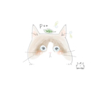 専用ページ