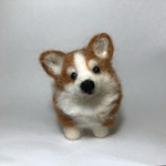 首傾げコーギー