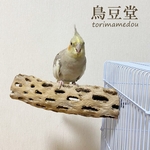 鳥 とまり木 カクタスパーチ（サボテンのとまり木）小型インコ・中型インコ