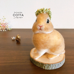ネザーランドドワーフ　うさぎ　羊毛フェルト　人形