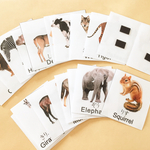 動物 (英語・日本語表記)カード☆モンテッソーリ教材