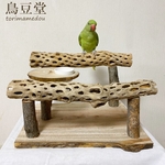 大型インコ用☆カクタスボーンスタンドパーチ（サボテンの骨卓上パーチ）【ヨウム・モモイロインコ】