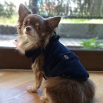 あったかコート♪ネイビー【Sサイズ】