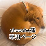 chocobe様　専用ページ