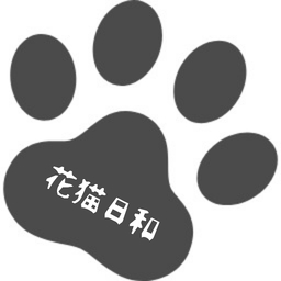 宵猫