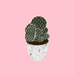 mocopaper