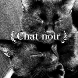 Chat noir