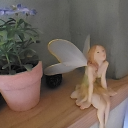 わーい