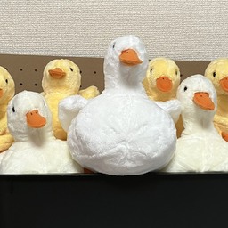 糸工の庭　itoe_garden