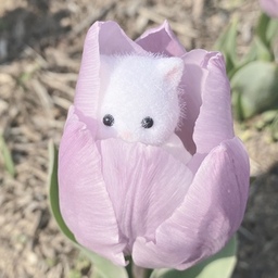もあ
