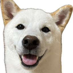 shkftkg