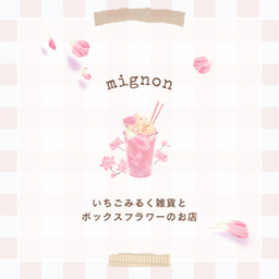 mignon（ミニョン）