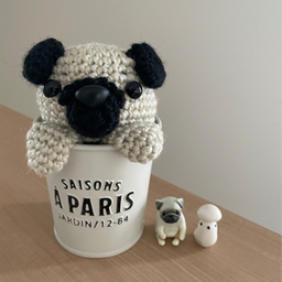 Gut&Wool 